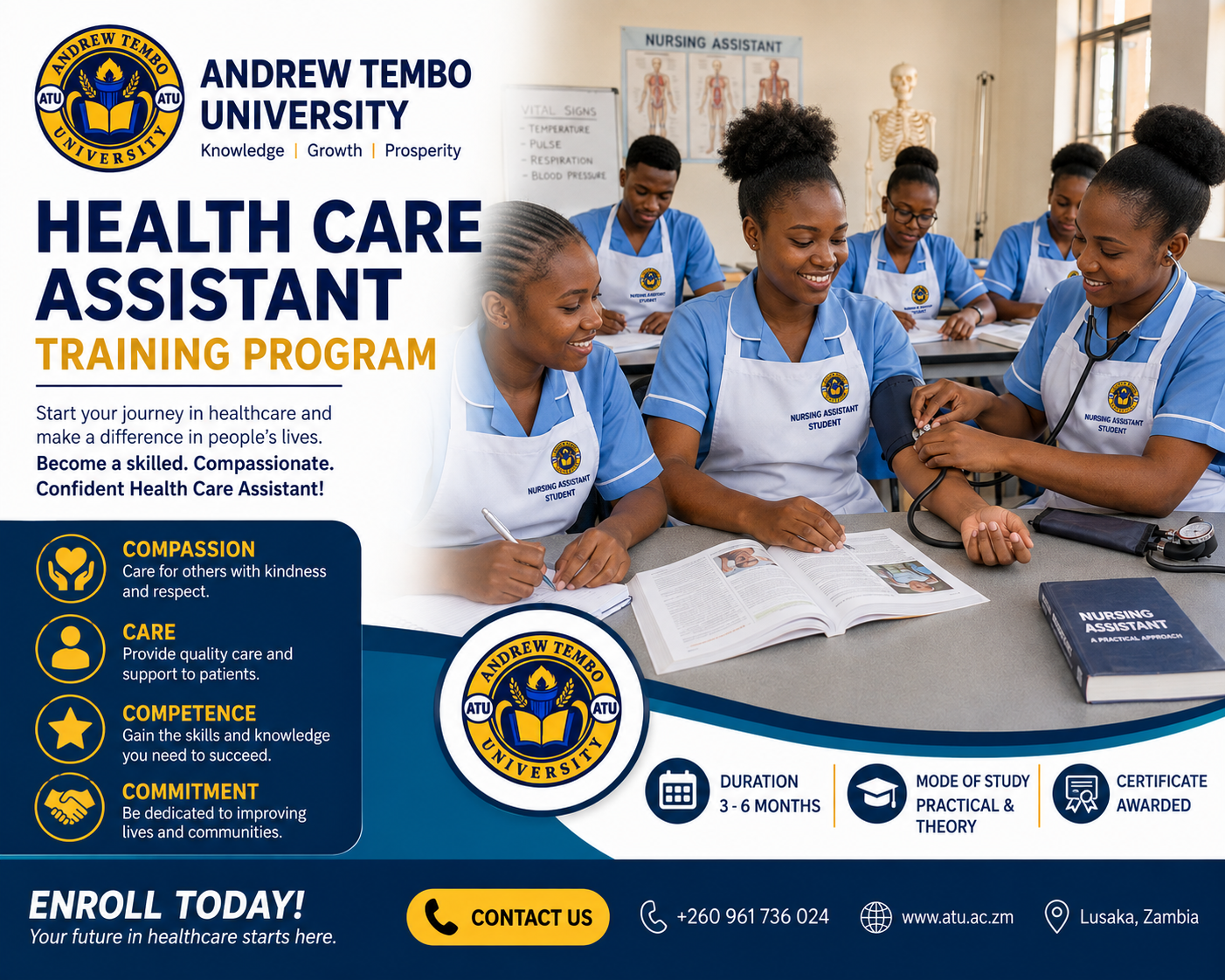 Health care Assistant